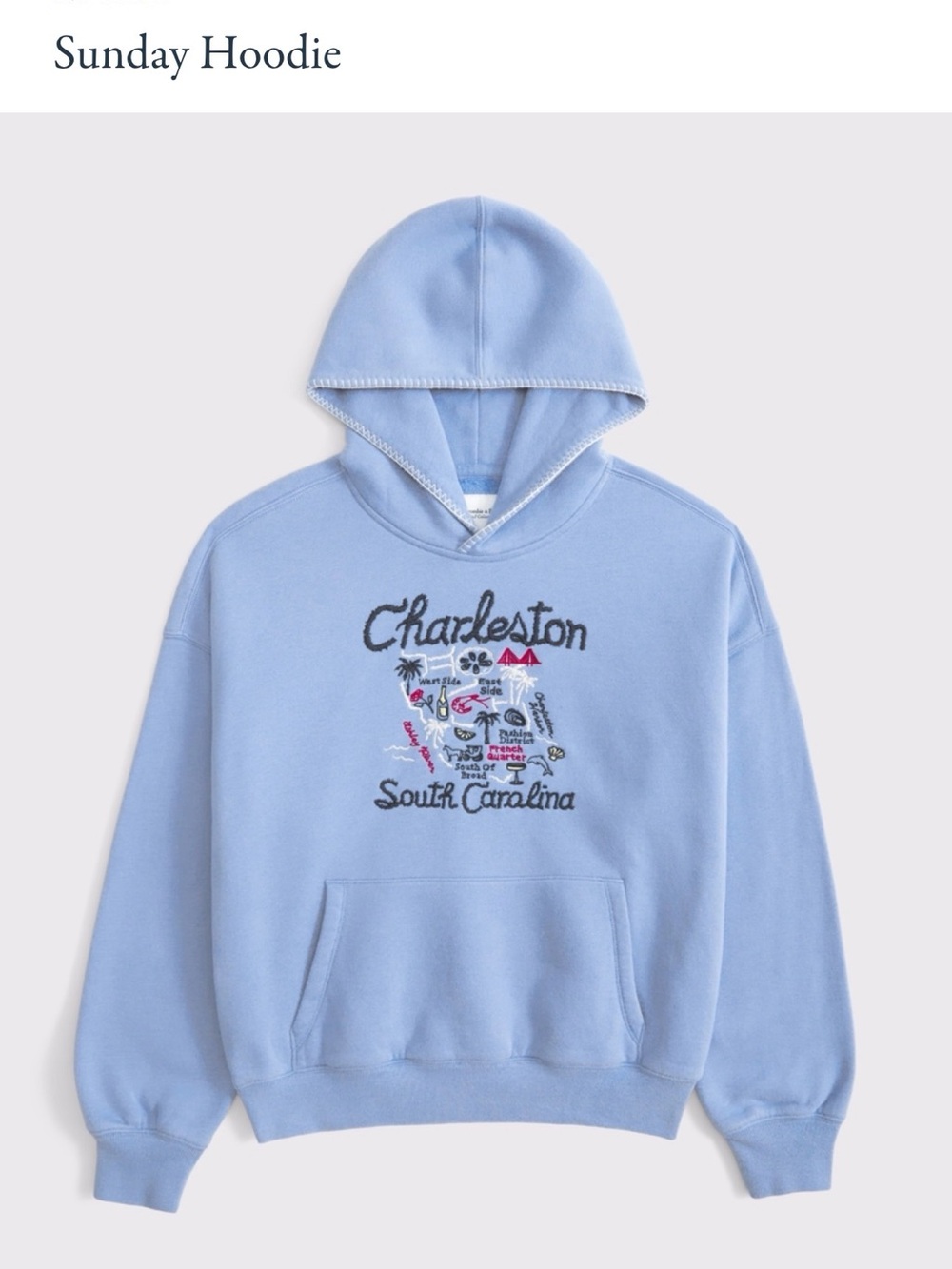 Abercrombie & Fitch Light Blue Charleston Embroidered Hoodie - Picture 2 of 11